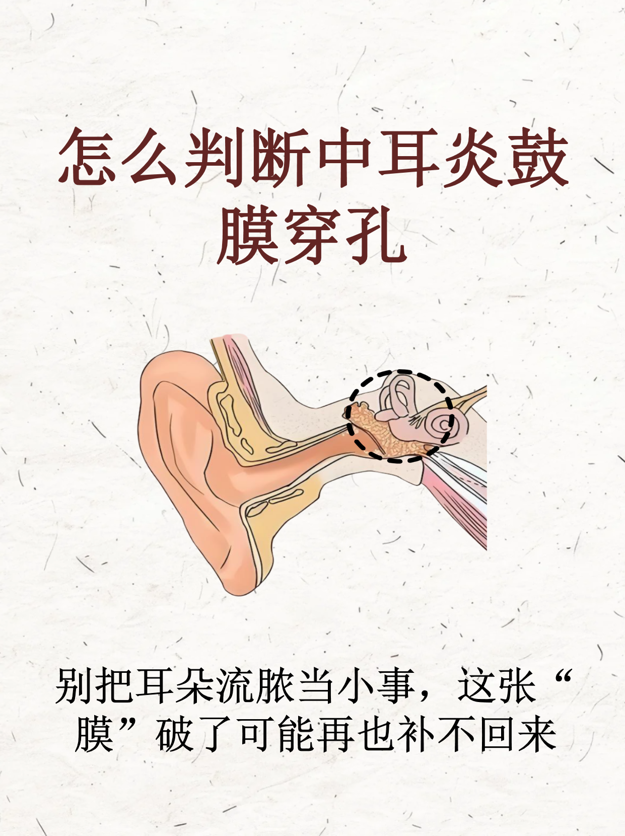 文章插图